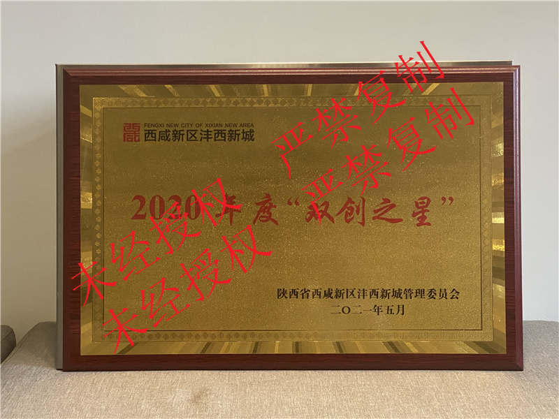 陜西秒康醫療西咸新區2020年度雙創之星